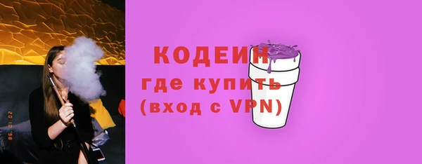 гашик Коряжма